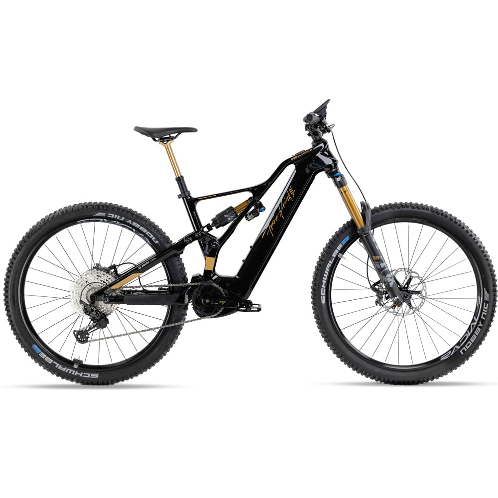 fahrrad franz e-bikes Kneissl Design World Champion – Franz Kneissl III